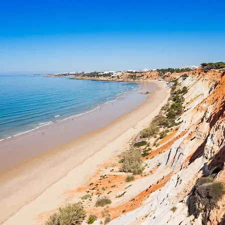 1br With Pool @ Azul Apartmán *