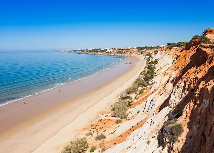 1br With Pool @ Azul Apartament *